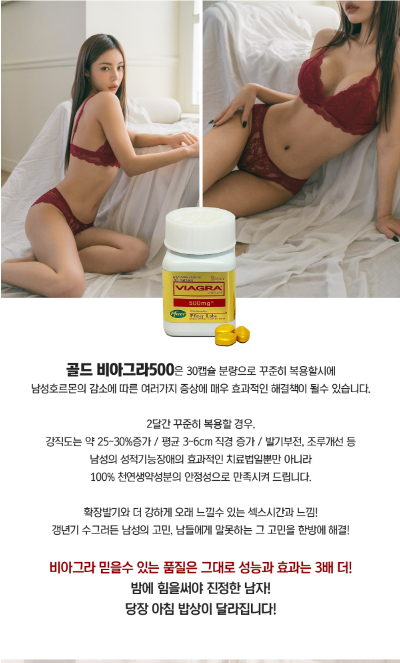 골드비아 500  2.png